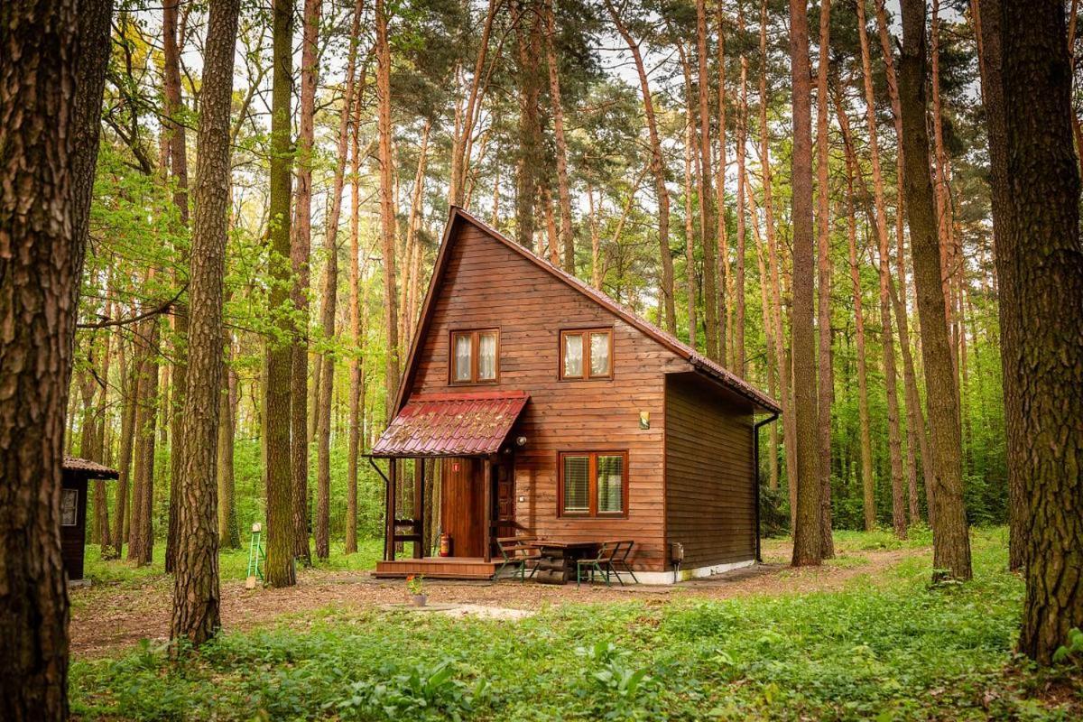 Aura Grotniki Hotel Grotniki  Екстериор снимка