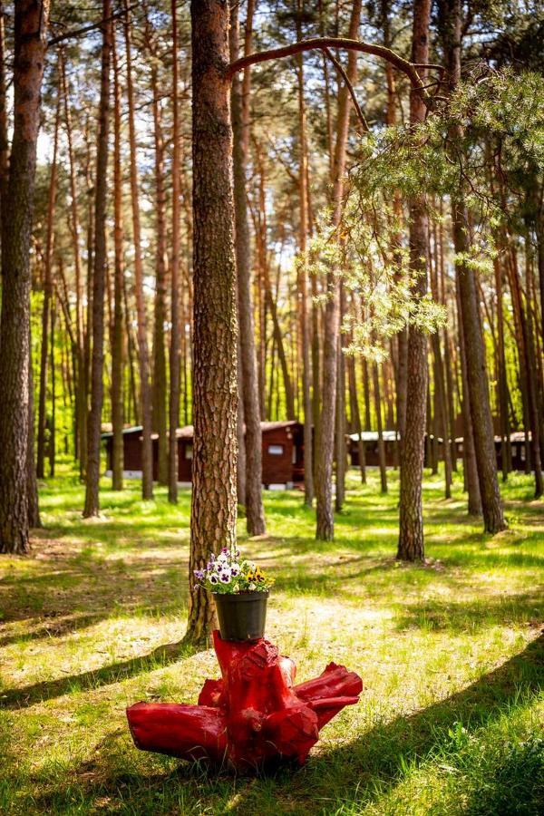 Aura Grotniki Hotel Grotniki  Екстериор снимка